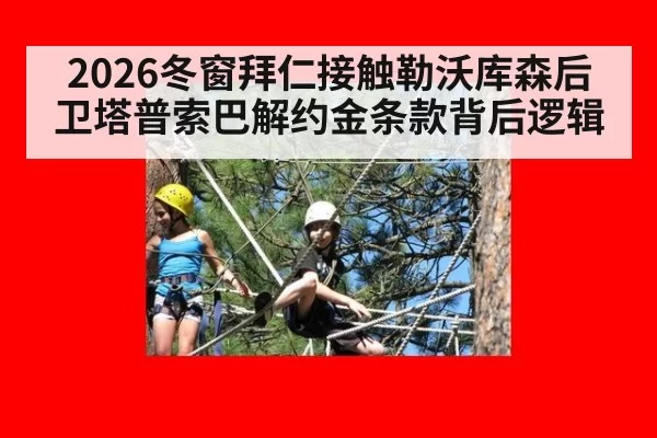 2026冬窗拜仁接触勒沃库森后卫塔普索巴解约金条款背后逻辑